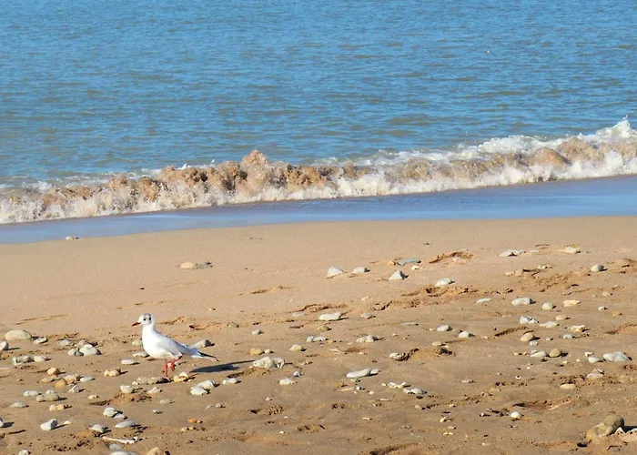 Escapade Normande By Interhome *